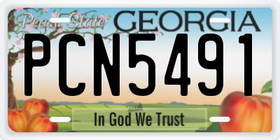 GA license plate PCN5491