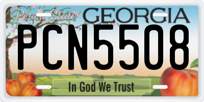 GA license plate PCN5508
