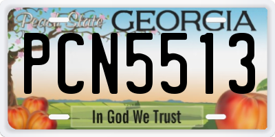 GA license plate PCN5513