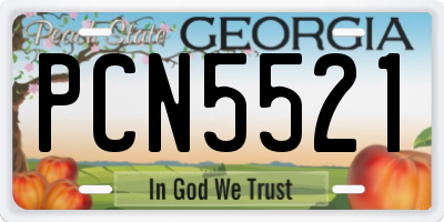 GA license plate PCN5521