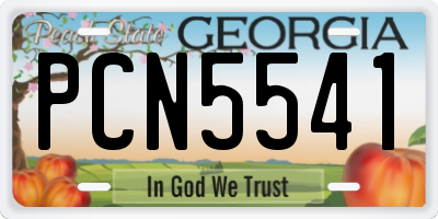 GA license plate PCN5541
