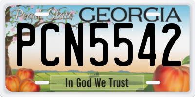 GA license plate PCN5542
