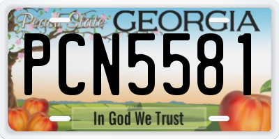 GA license plate PCN5581