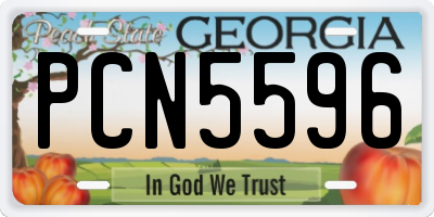 GA license plate PCN5596