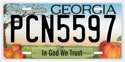 GA license plate PCN5597