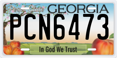 GA license plate PCN6473