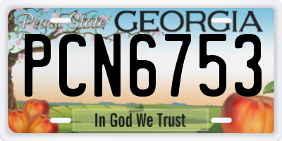 GA license plate PCN6753