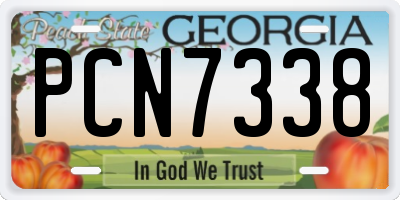 GA license plate PCN7338