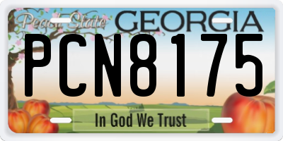 GA license plate PCN8175