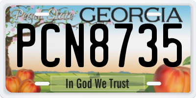 GA license plate PCN8735