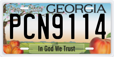 GA license plate PCN9114