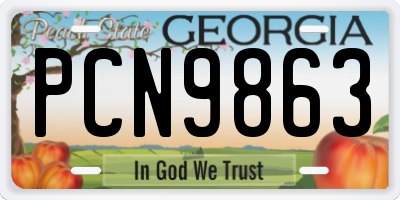 GA license plate PCN9863
