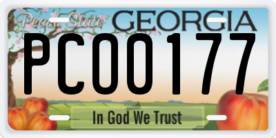 GA license plate PCO0177