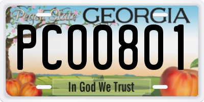 GA license plate PCO0801