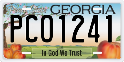 GA license plate PCO1241