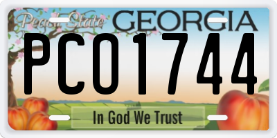 GA license plate PCO1744