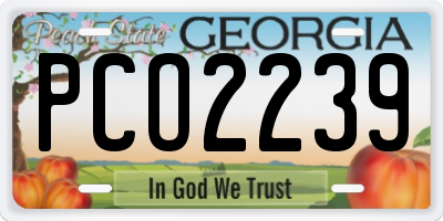 GA license plate PCO2239