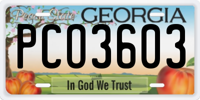 GA license plate PCO3603