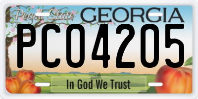 GA license plate PCO4205