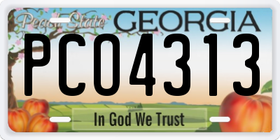 GA license plate PCO4313