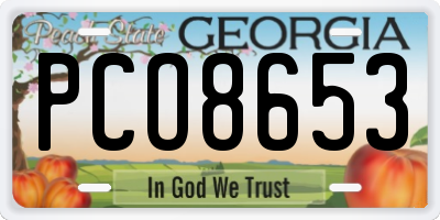 GA license plate PCO8653