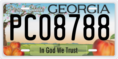 GA license plate PCO8788