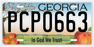 GA license plate PCP0663
