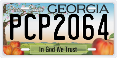 GA license plate PCP2064