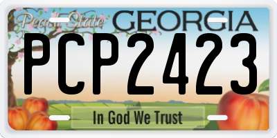GA license plate PCP2423
