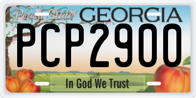 GA license plate PCP2900