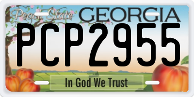 GA license plate PCP2955