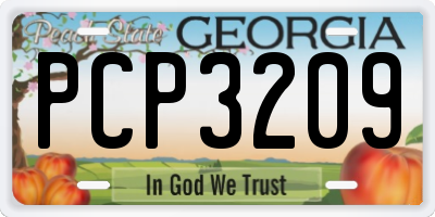 GA license plate PCP3209