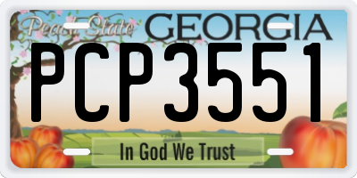 GA license plate PCP3551