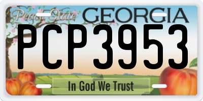 GA license plate PCP3953