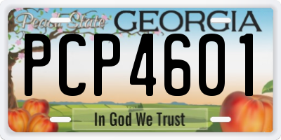 GA license plate PCP4601