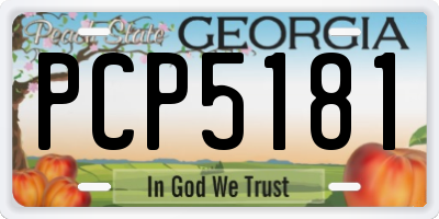 GA license plate PCP5181