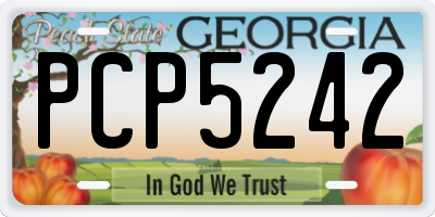 GA license plate PCP5242