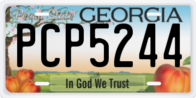 GA license plate PCP5244