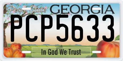 GA license plate PCP5633