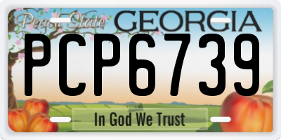 GA license plate PCP6739