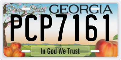 GA license plate PCP7161