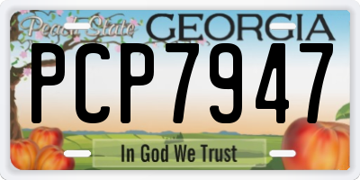 GA license plate PCP7947