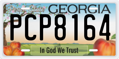 GA license plate PCP8164