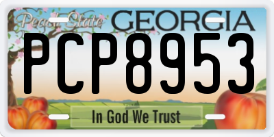 GA license plate PCP8953
