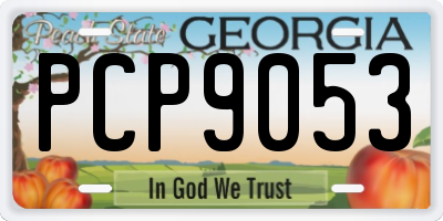 GA license plate PCP9053