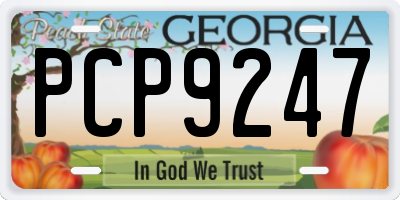 GA license plate PCP9247