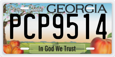 GA license plate PCP9514