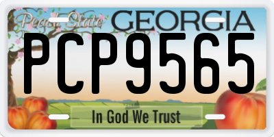 GA license plate PCP9565