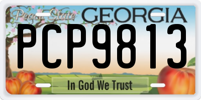 GA license plate PCP9813