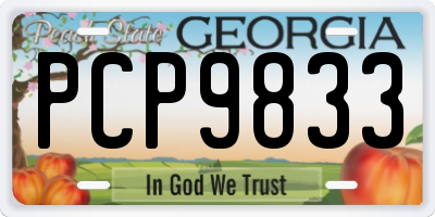 GA license plate PCP9833
